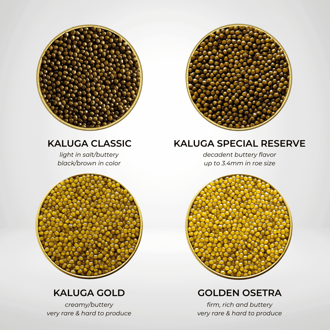Number One Caviar Starter Set