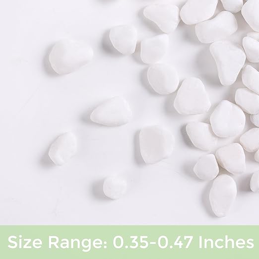 SIDONG 10 LB White River Rocks, 0.3-0.5 Inches Matte Pebbles for Indoor Plants, Aquarium Rocks Used in Fish Tank, Decorative Stones for Plants, Vases, Home DΓ©cor, Crafting, Garden Landscaping