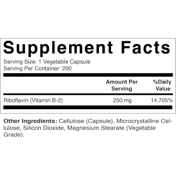 Vitamatic | Vitamin B2 (Riboflavin) 250 mg | 200 Capsules