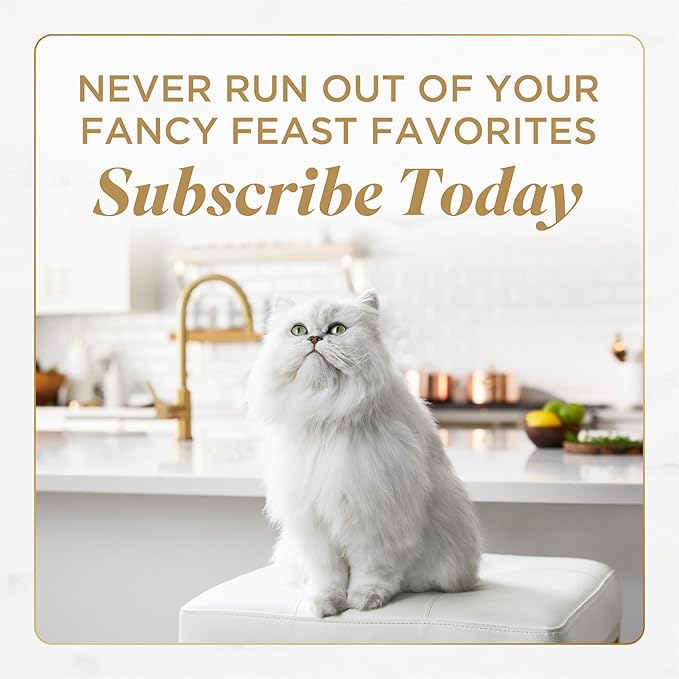 Fancy Feast Gems Pate Cat Food Mousse With Salmon and a Halo of Savory Gravy Cat Food - (Pack of 8) 4 oz. Boxes