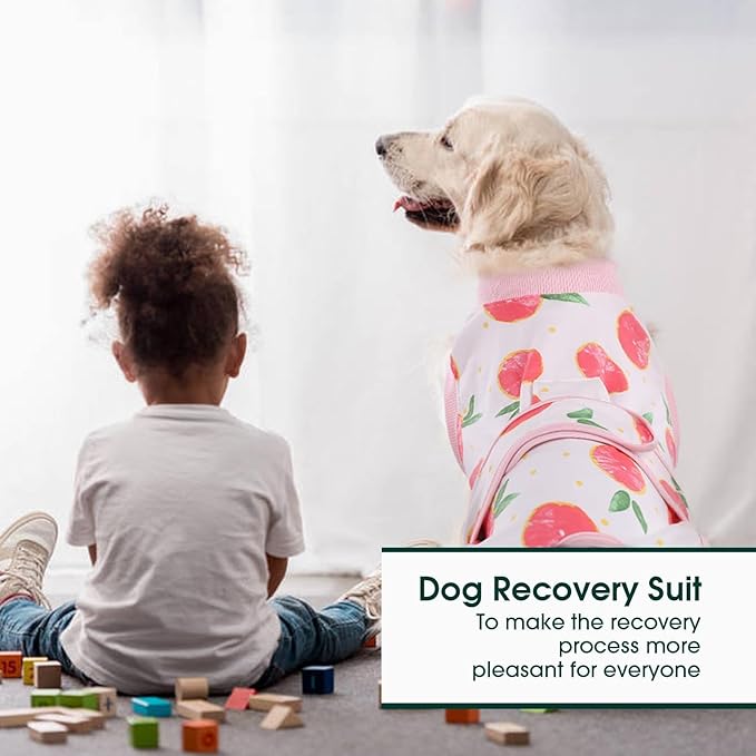 Kuoser Dog Surgery Recovery Suit, Dog Recovery Suit Male Neuter, Soft Female & Male Pet Surgery Wear, Breathable Pet Healing Garment for Post-Procedure Care, Pink XXL