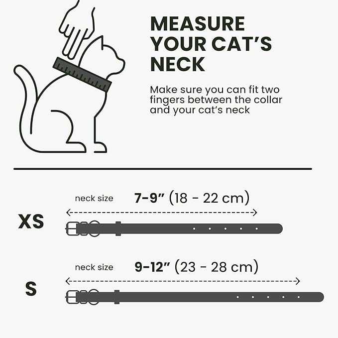 BRONZEDOG Leather Cat Collar with Removable Bells Non Breakaway Kitten QR Tag for Girl Boy (9" - 12" Cats/Mini Dogs, Black & Gold)