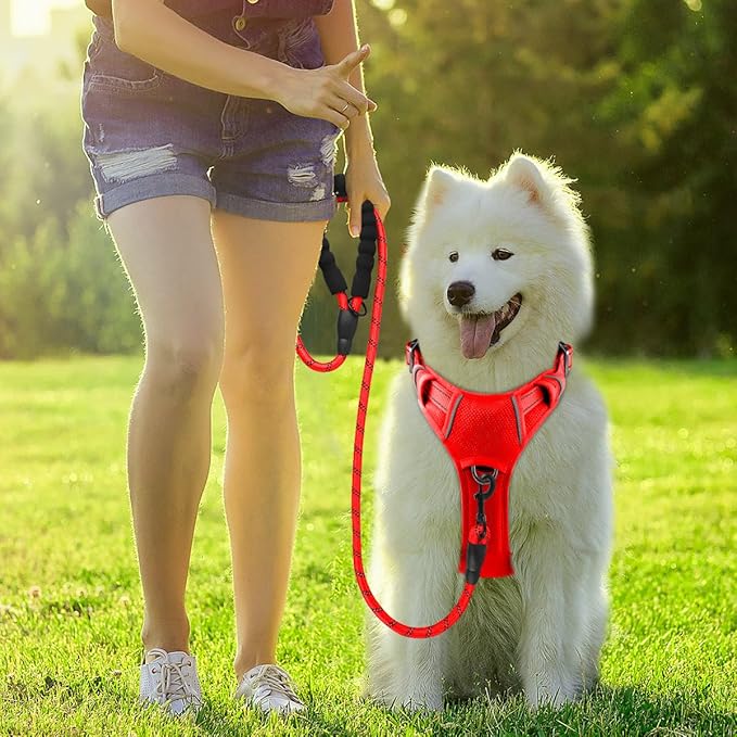 BARKBAY Dog Harness No Pull with ID Tag Pocket - Heavy Duty, Reflective, Easy Control for Large Dogs(Red,M)