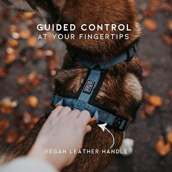MADE TO ROAM Premium Explorer Harness - Y-Shaped Dog Harness with Adjustable Durable Nylon, Soft Padding, Metal Buckles and Leather Handle for Small, Medium, Large Dogs (Oregon Haze, Size 3)