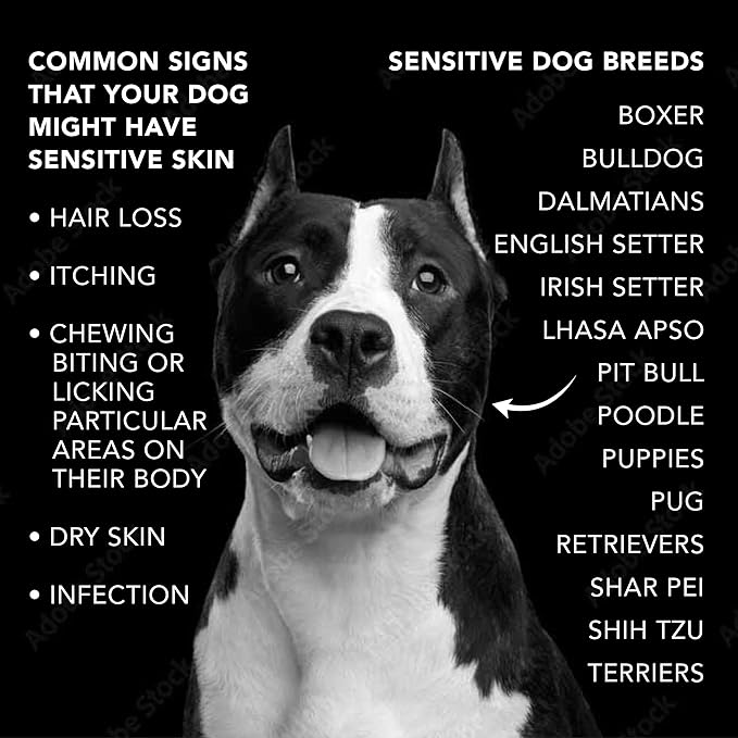 Pride and Groom The Sensitive One Box Set β Dog Shampoo & Conditioner with All Natural Blend of Essential Oils & Ingredients to Soothe, Nourish & Untangle for Long Lasting Shine & Manageability β 32oz