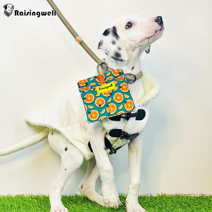 Dog Treat Pouch,Cotton Pocket Sized Training Holder, Hand Free Walking Funny Bag with Carabiner, Self-Closing Pet Feed Snack Reward, Behavior Aids for Puppy Travel or Outdoor Useļ¼Fruit Orangeļ¼