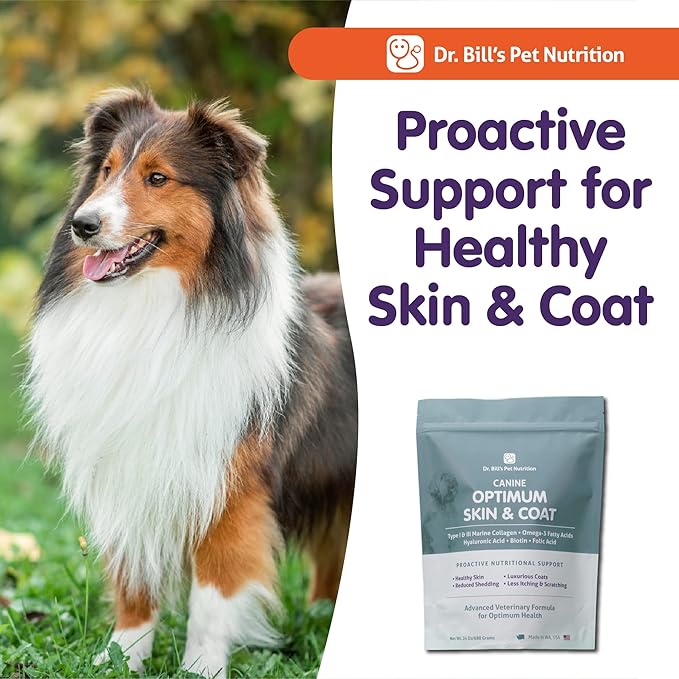 Dr. Bill's Canine Optimum Skin & Coat β Reduces Shedding, Itching, Dry Skin β Allergy Relief for Healthy Fur - Omega 3, Collagen, Biotin & Hyaluronic Acid β 680g Vet-Recommended Dog Supplement