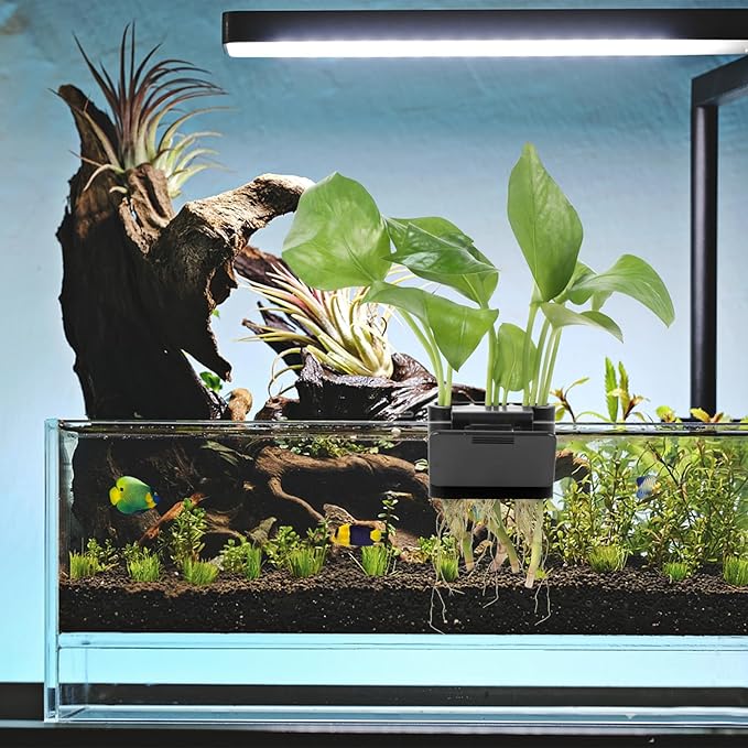 2Pcs 3 Holes Upgraded Aquatic Plant Cup Aquarium Plant Holder for Tank, Hanging Aquarium Plant Holder, Aquarium Aquatic Plant Cultivation, Aquarium Plant Decoration.