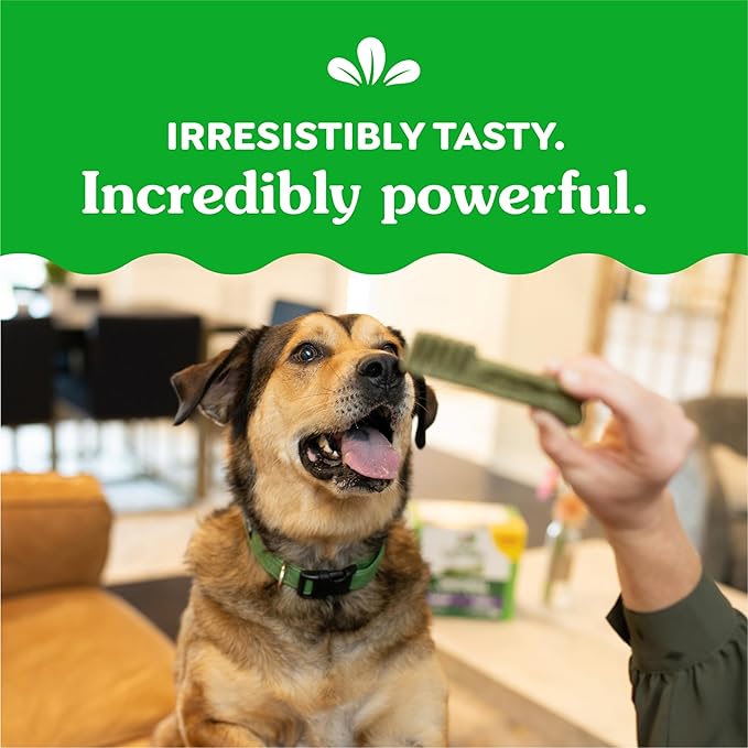 Greenies Original Large Dental Dog Treats, 27 oz. Pack (17 Treats)