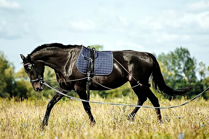 Soft Padded Lunge Line Rein Lead for Horses 27ft Looped Handle Swivel Clip (Orange/Turquoise)