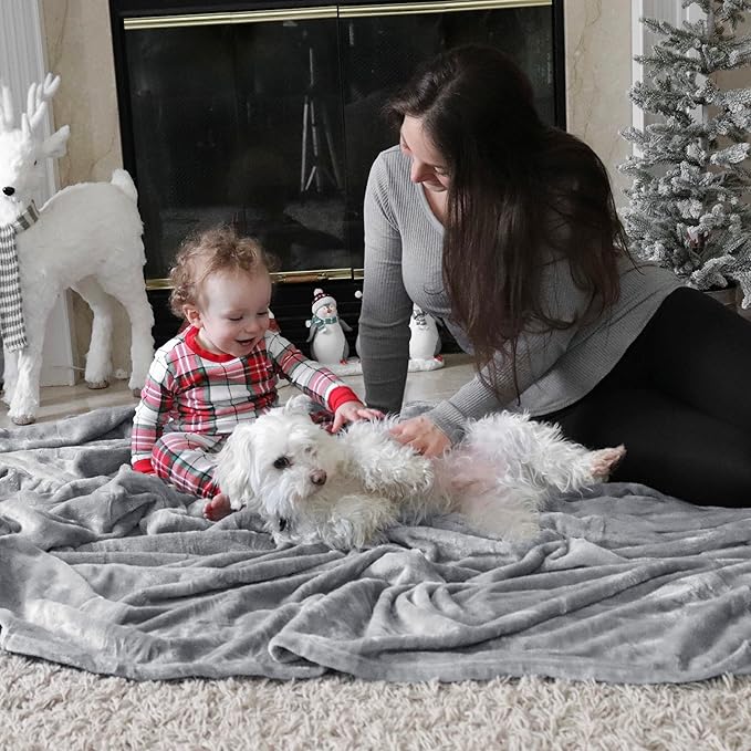 Bedsure Fleece Blanket Twin Size Light Grey - 300GSM Lightweight Plush Fuzzy Cozy Soft Warm Blanket for Bed, Sofa, Couch, Travel, Camping, 60x80 inches