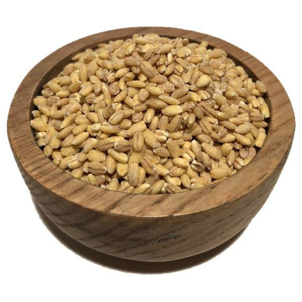 Barley