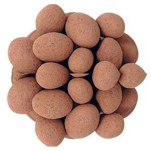 Cocoa Almonds