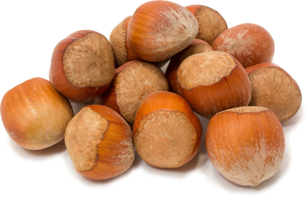 Hazelnuts (Filberts) In Shell