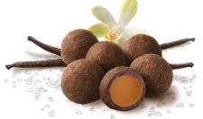 Milk Chocolate Sea Salt Vanilla Caramels