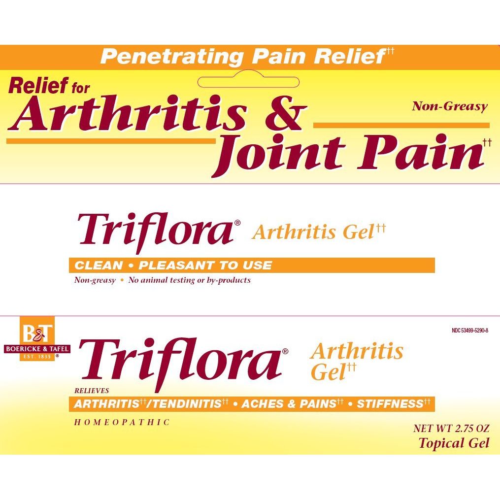 Boericke & Tafel Triflora Arthritis Gel - Natural Relief for Arthritis Discomfort