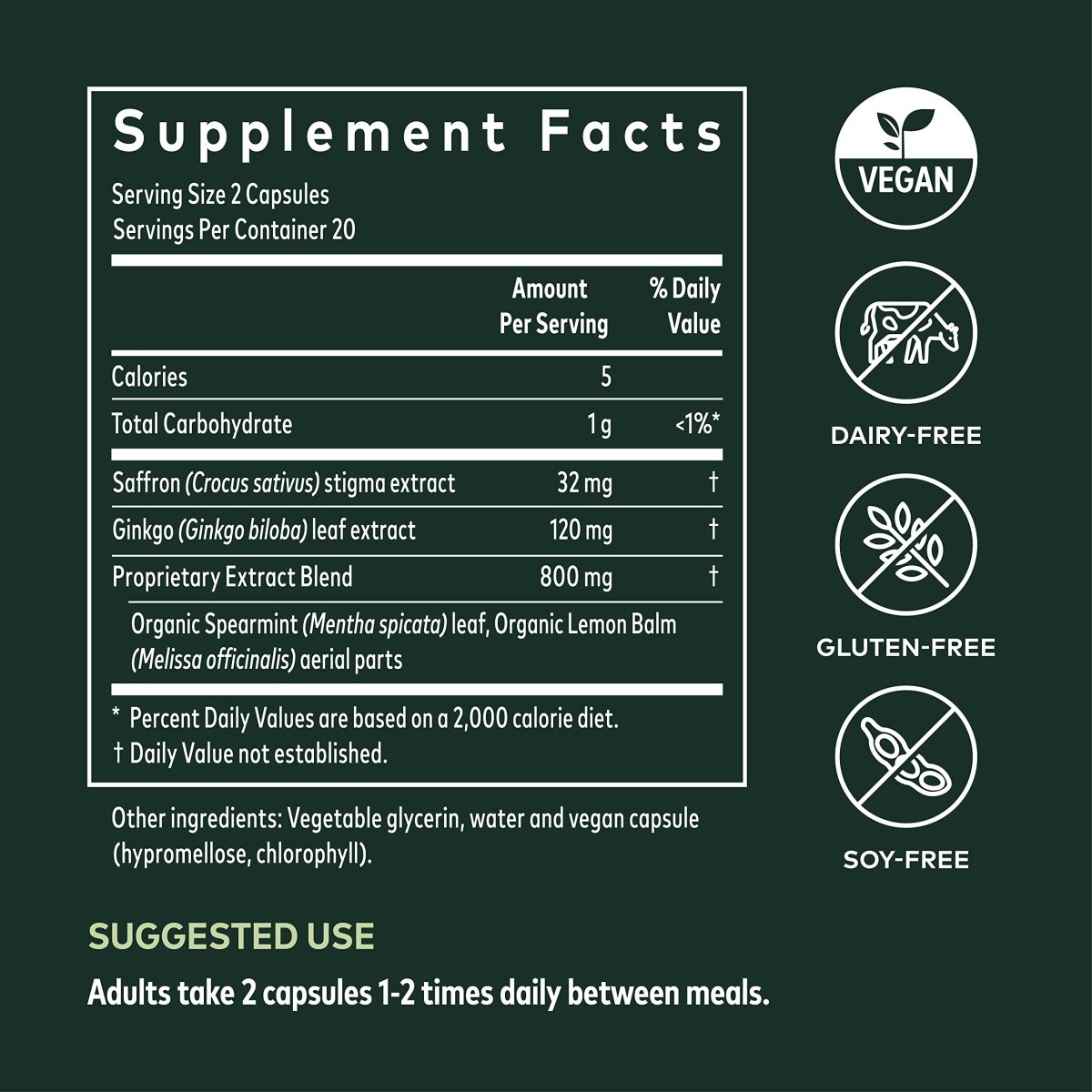 Gaia Herbs Nootropic Focus - Brain & Cognitive Support Supplement