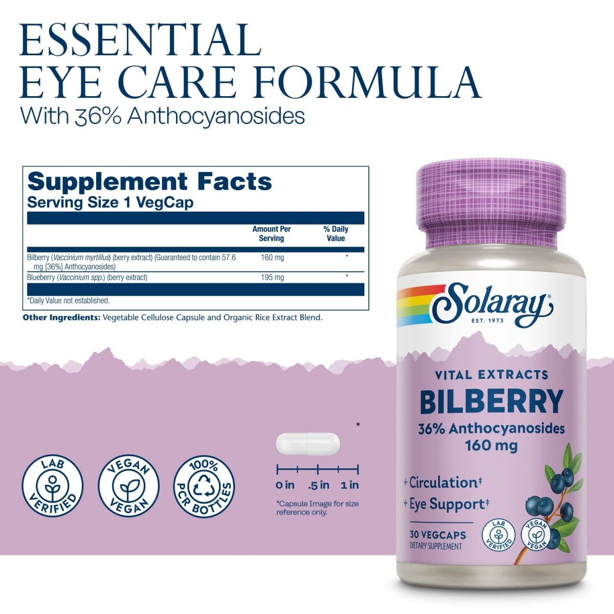 SOLARAY Bilberry Extract 160 mg VegCaps 30 Count
