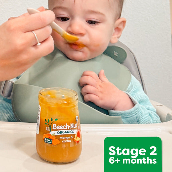 Beech-Nut Veggies Stage 2 Baby Food, Zucchini Spinach & Banana, 3.5 oz Pouch
