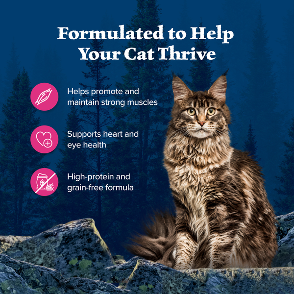 Blue Buffalo Wilderness Delights Meaty Wet Cat Food, Chicken & Salmon in Gravy