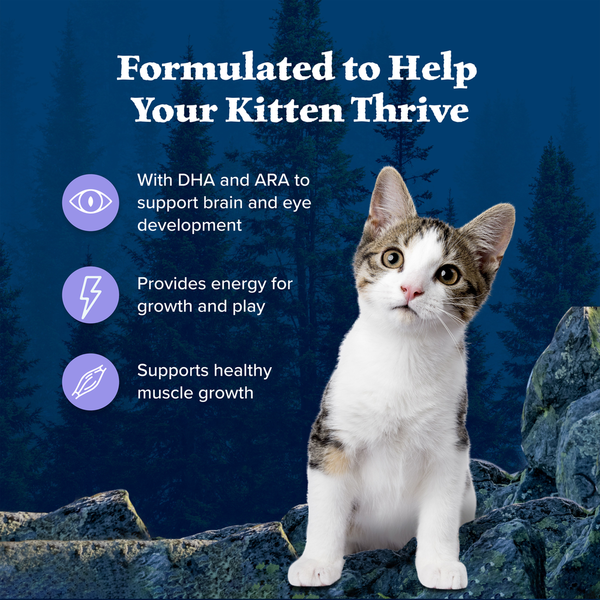 Blue Buffalo Wilderness High Protein, Natural Kitten Dry Cat Food, Chicken