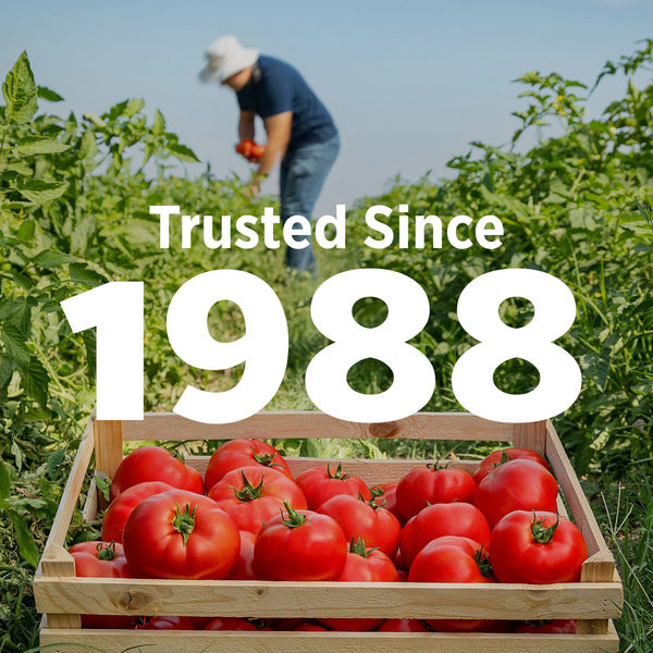 Hunt's No Salt Added Diced Tomatoes with Basil Garlic and Oregano