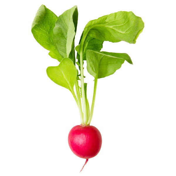 Organic Radish