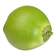 Green Coconut In Husk️