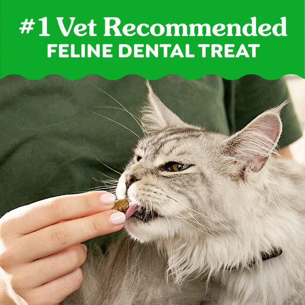 GREENIES Feline Adult Natural Dental Care Cat Treats, Oven Roasted Chicken Flavor
