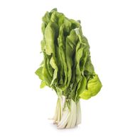 Chard️
