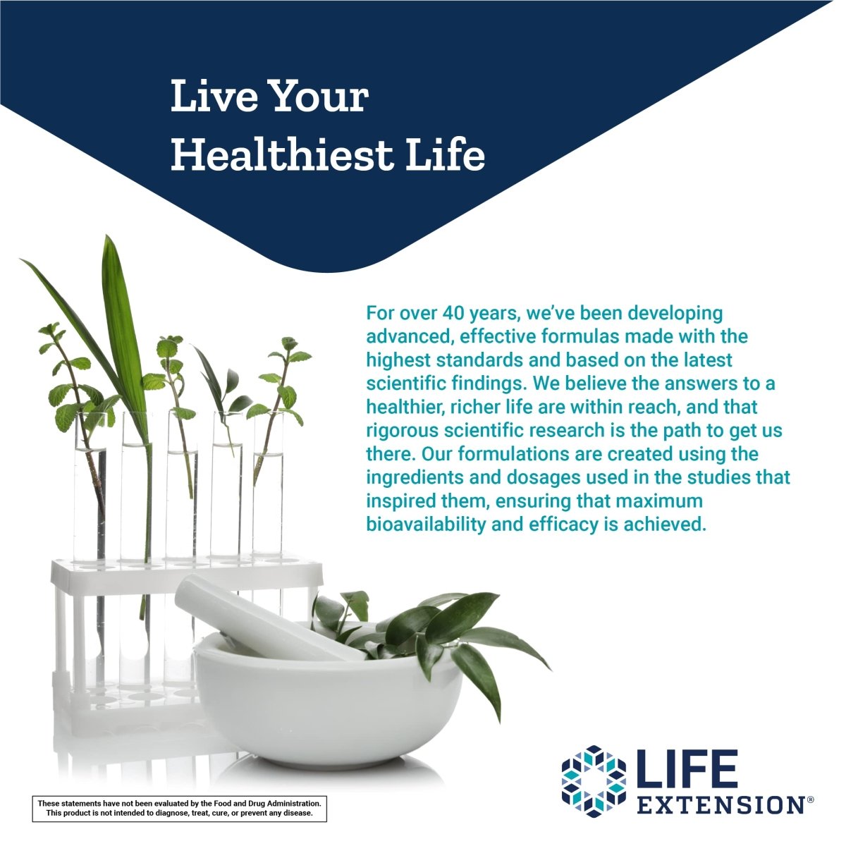 Life Extension Peony Immune - White Peony Root-Extract Supplement for Healthy Immune Support and Cell Balance - Non-GMO, Gluten-Free, Vegetarian - 60 Capsules