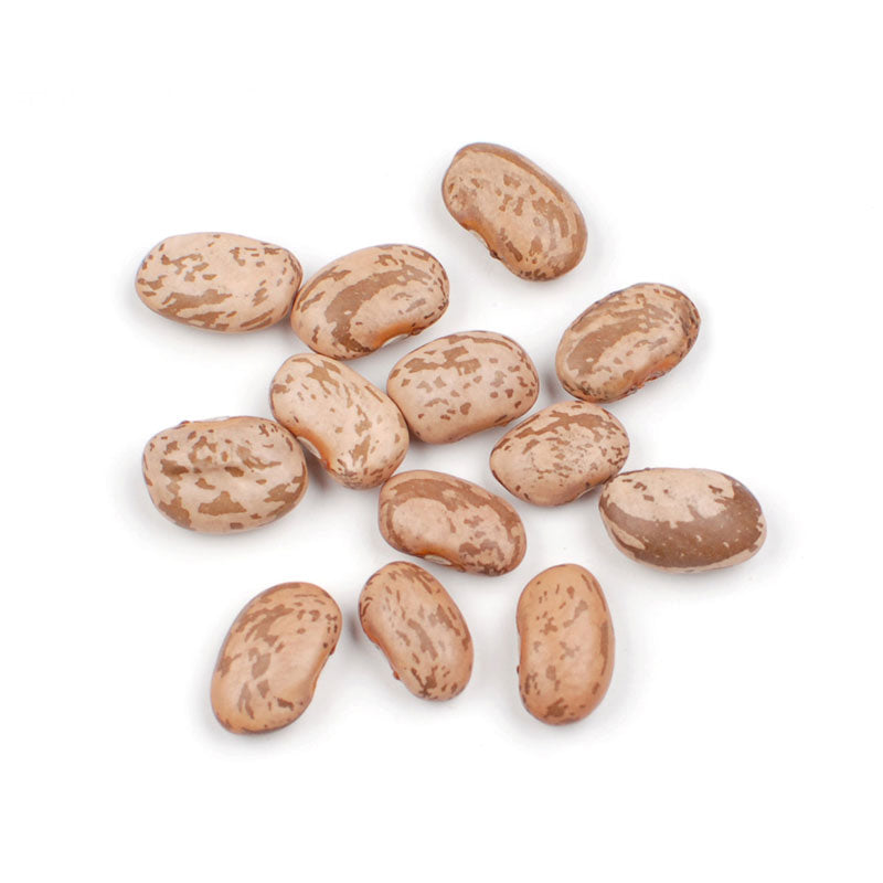 Dried Pinto Beans