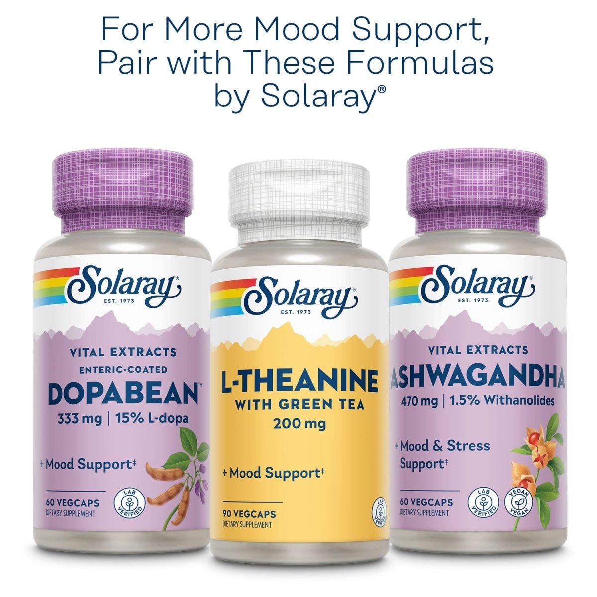 SOLARAY St John's Wort 900 mg, Once Daily Mood Support Supplement, Standardized to 0.3% Hypericin for Brain Health Support and a Balanced Mood, 60-Day Money Back Guarantee 30 Servings 30 Tablets