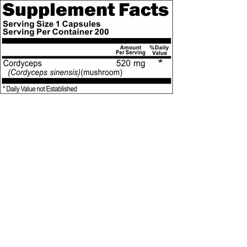 Cordyceps Extract 500mg/1000mg per 2Caps - 200 capsules by Vitamins Because