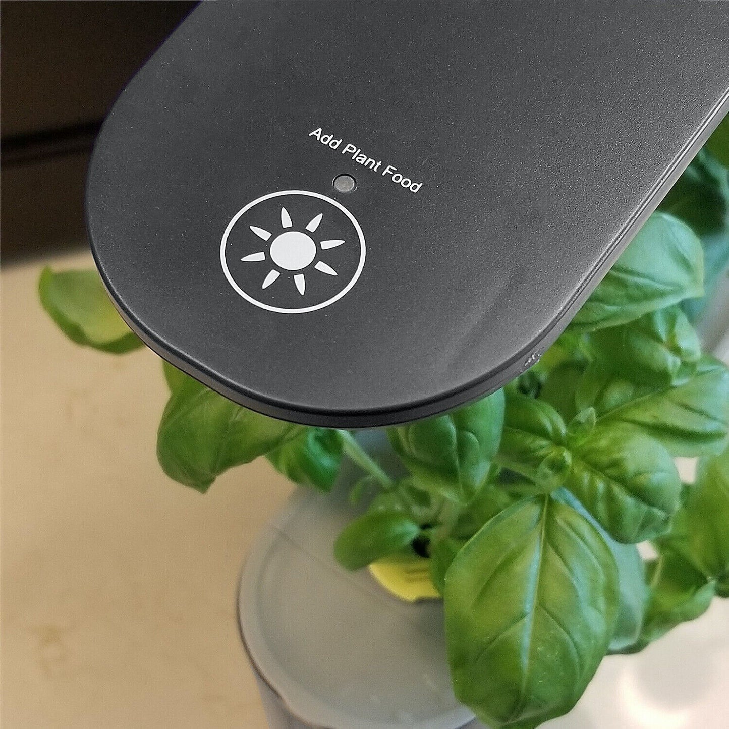 AeroGarden Sprout Black 3-Pod Garden + 3 Pod Seed Kit