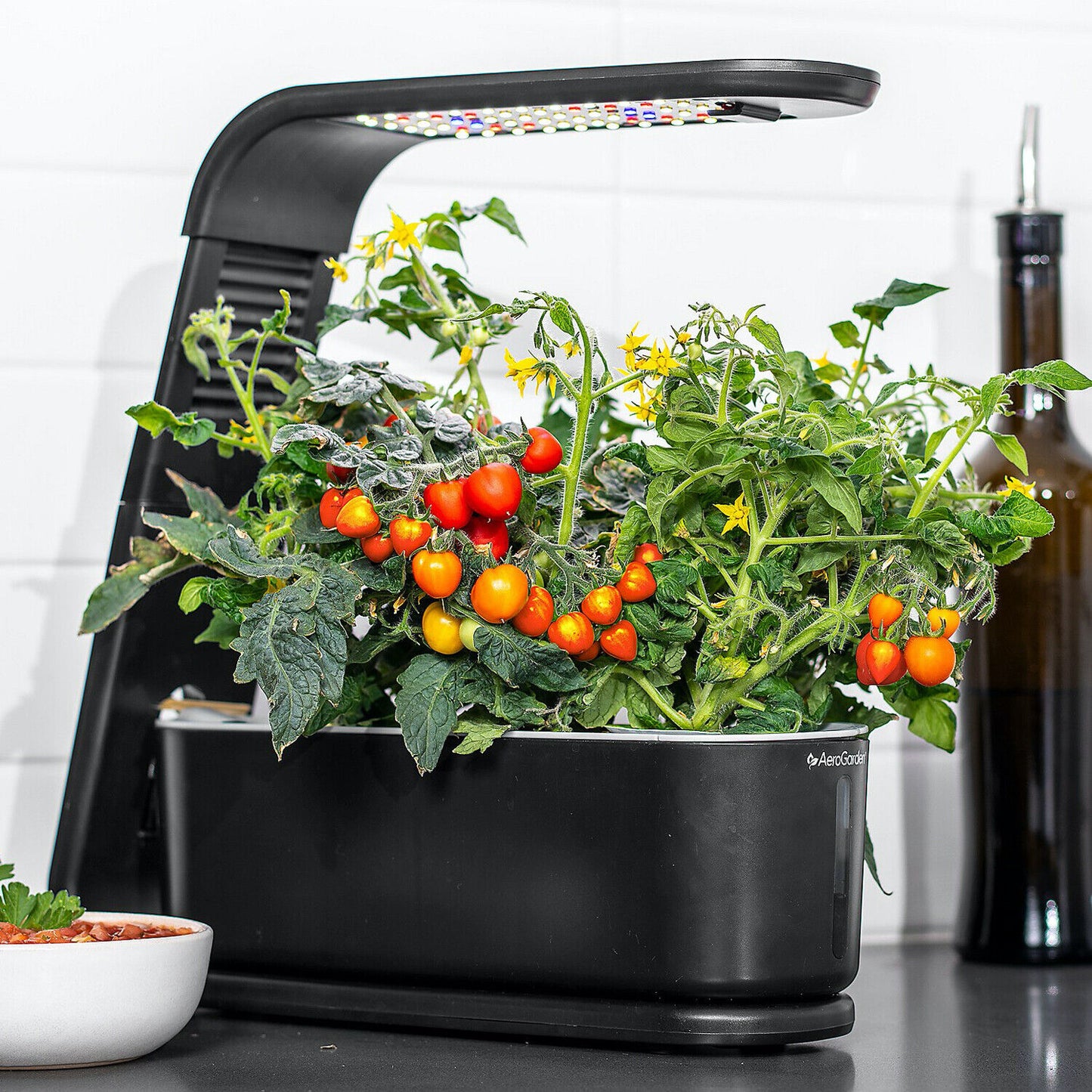 AeroGarden Sprout Black 3-Pod Garden + 3 Pod Seed Kit