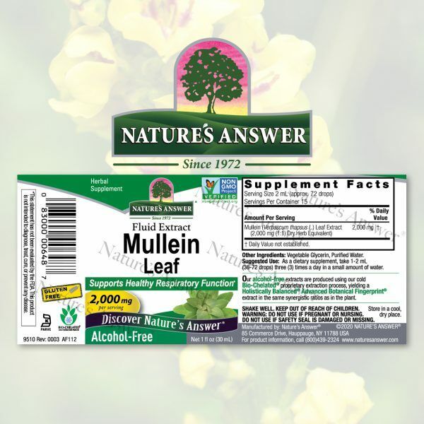 Nature s Answer Mullein 2000 mg 1 fl oz 30 ml Kosher Alcohol Free