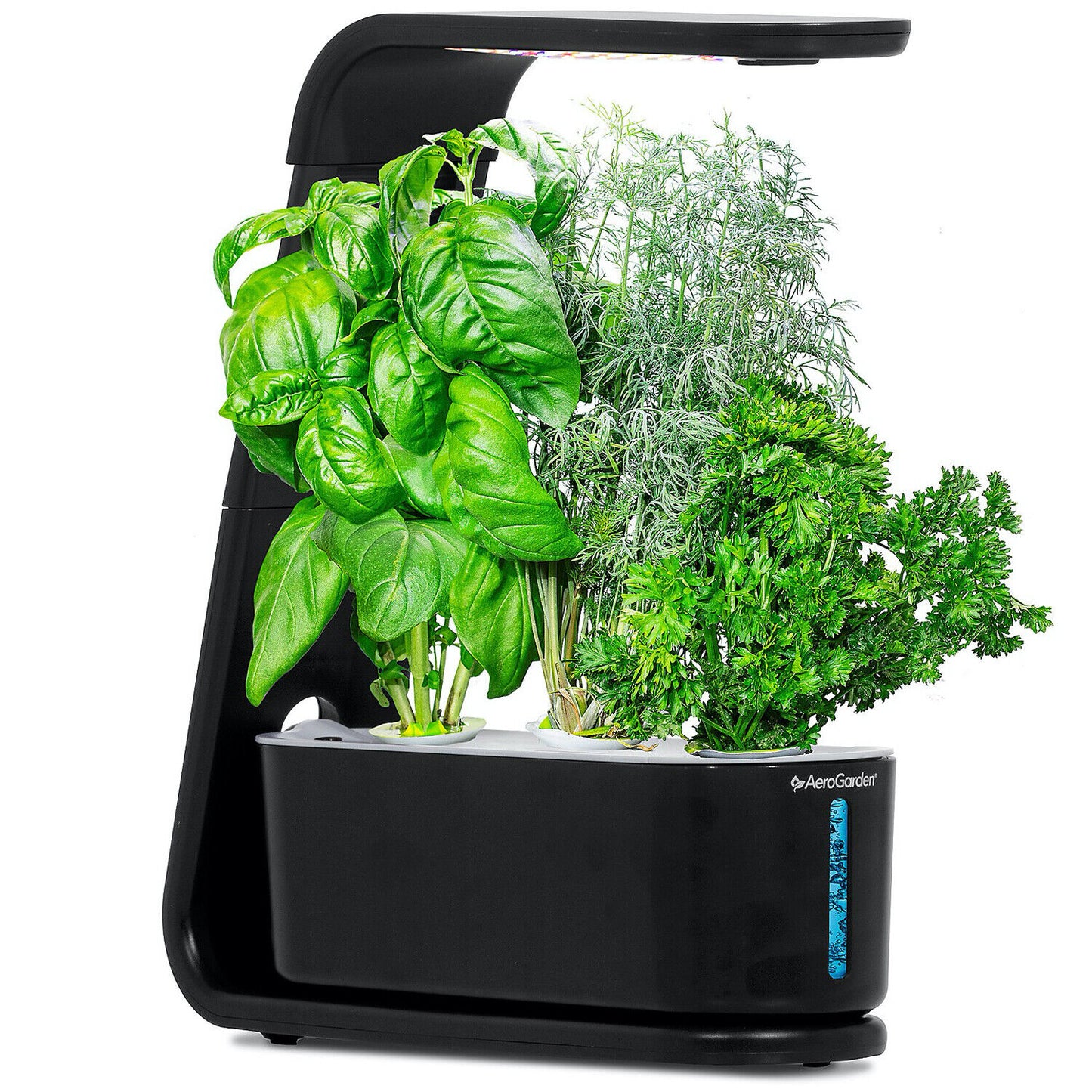 AeroGarden Sprout Black 3-Pod Garden + 3 Pod Seed Kit