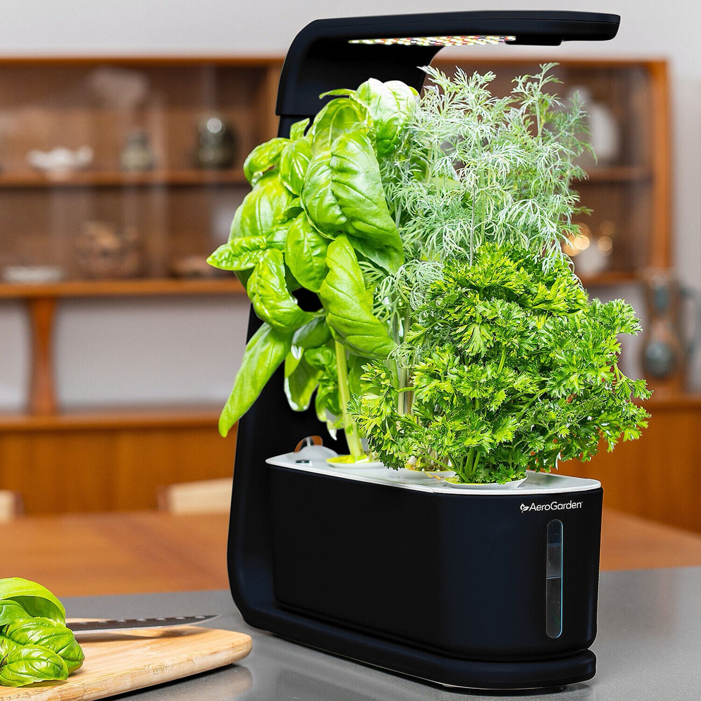 AeroGarden Sprout Black 3-Pod Garden + 3 Pod Seed Kit