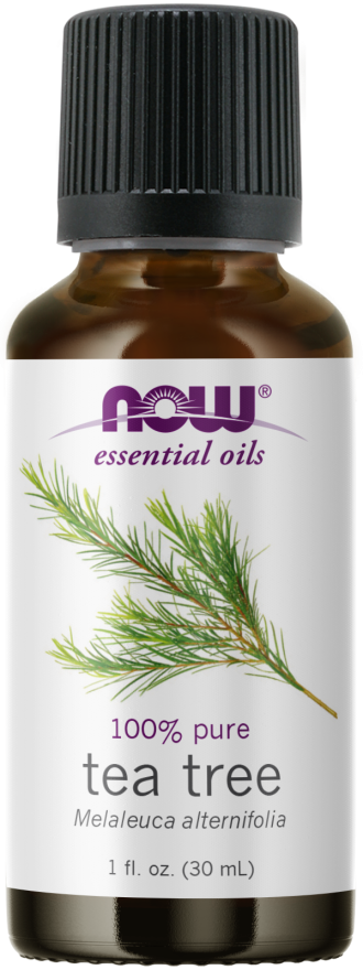 Tea Tree 100% Pure 1oz NOW Foods Essential Oils Warm Spicy Aroma