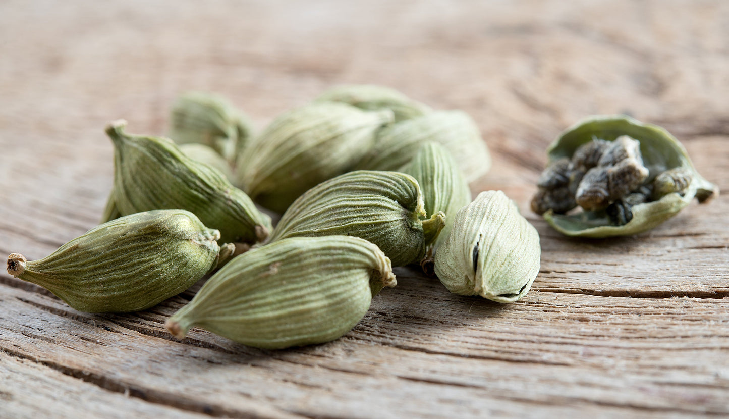 Cardamom (Elettaria cardamomum)