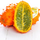 Kiwano, Orange (Cucumis metuliferus)