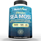 Nutrivein Organic Sea Moss 1600mg Plus Bladderwrack & Burdock - 120 Capsules