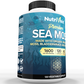 Nutrivein Organic Sea Moss 1600mg Plus Bladderwrack & Burdock - 120 Capsules
