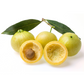 Rose Apple (Syzygium jambos)