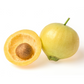 Rose Apple (Syzygium jambos)