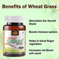 Cipzer Wheat Grass Capsules