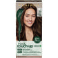 Root Touch-up Permanent Hair Dye