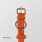 CollarDirect Rolled Leather Dog Collar, Soft Padded Round Puppy Collar, Handmade Genuine Leather Collar Dog Small Large Cat Collars 13 Colors (13-16 Inch, Orange Textured)