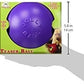 Jolly Pets Teaser Ball Dog Toy, Medium/6 Inches, Purple (1506 PR)